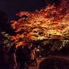 20141123青蓮院3