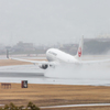 20150301雨の伊丹スカイパーク8