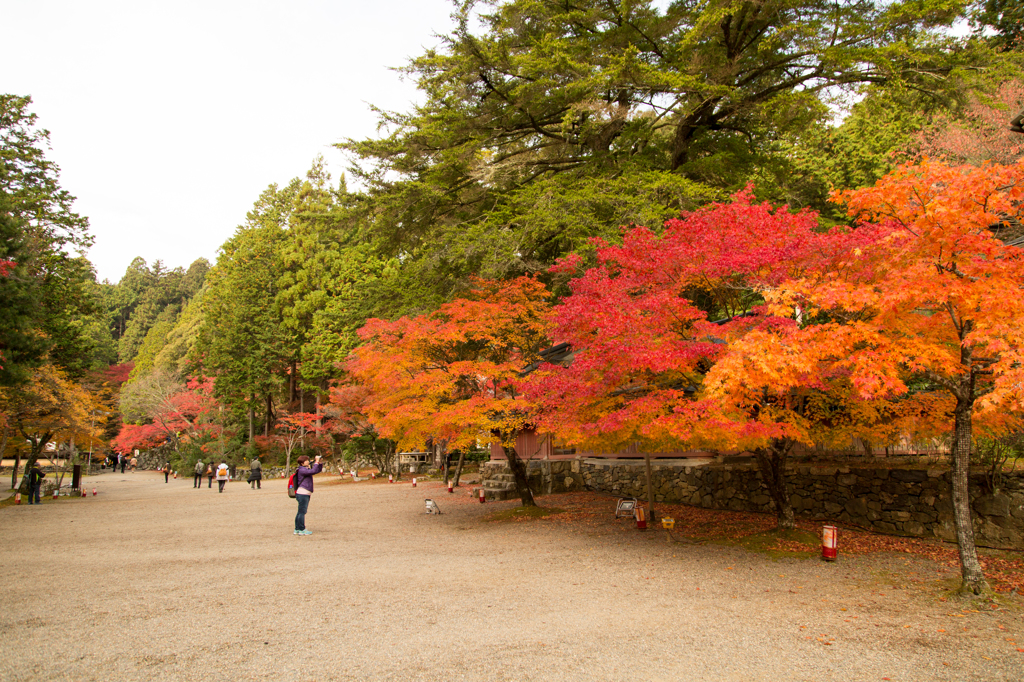 高雄　神護寺1