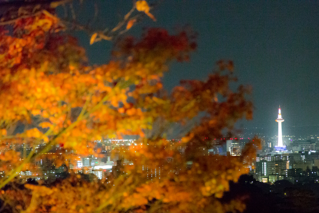 20141123清水寺2