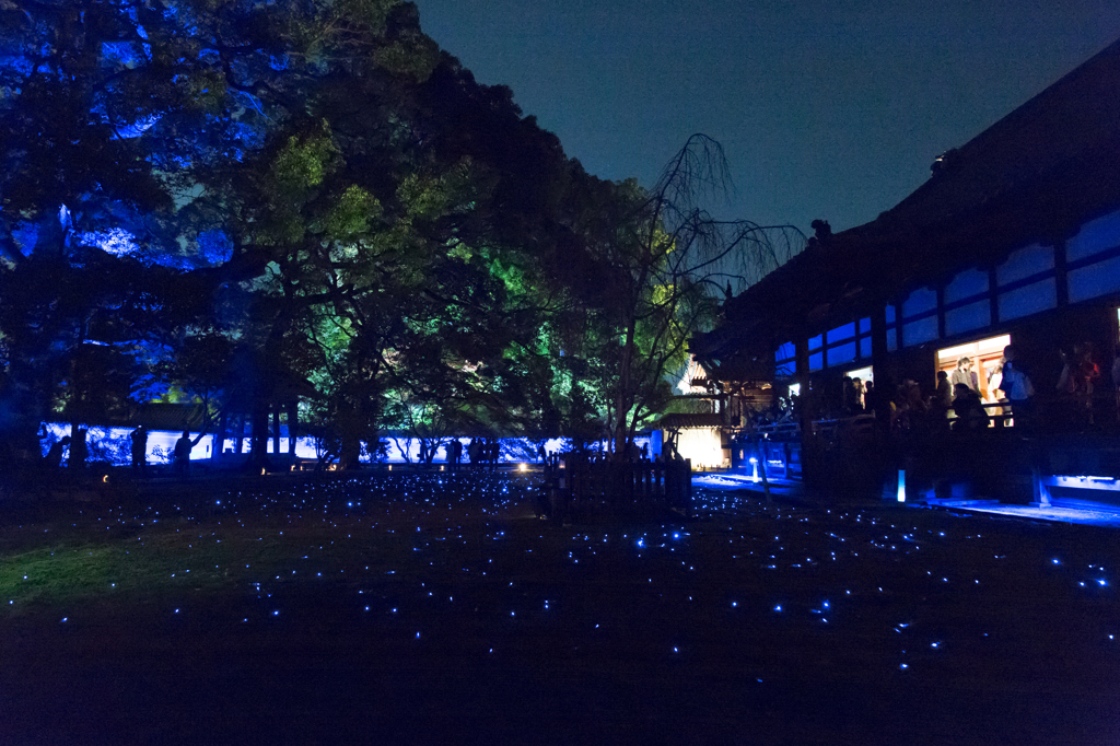 20141123青蓮院5