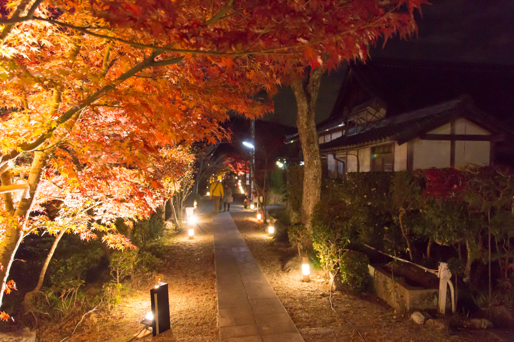 20141122大御堂観音寺7