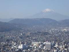 富士を望む街