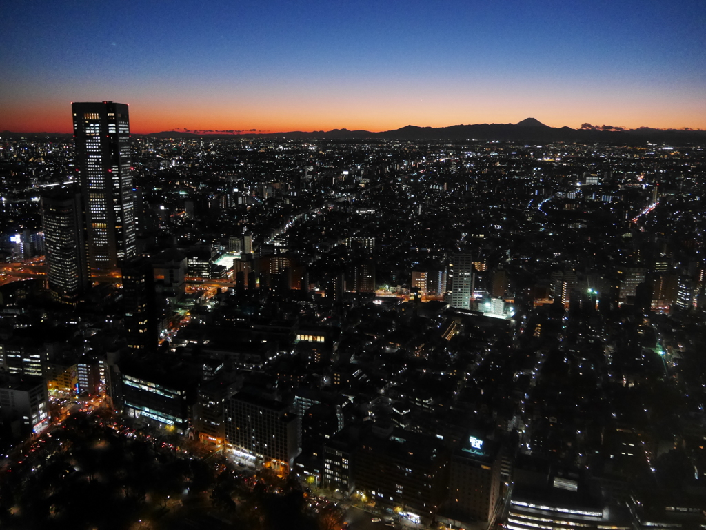 東京西部夜景