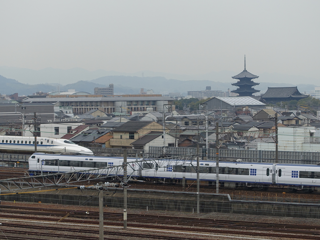 京の街を走る