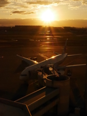 夕日の羽田空港