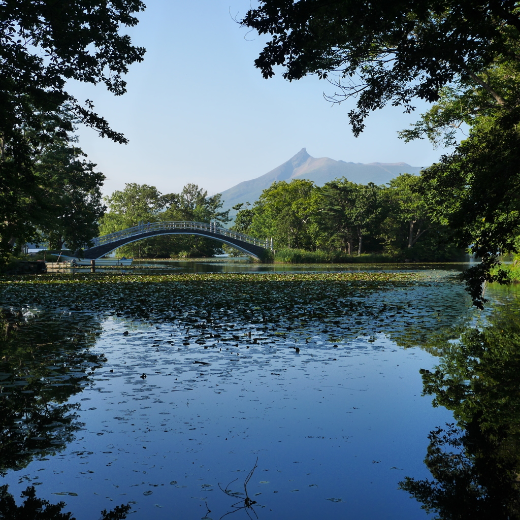 大沼散歩