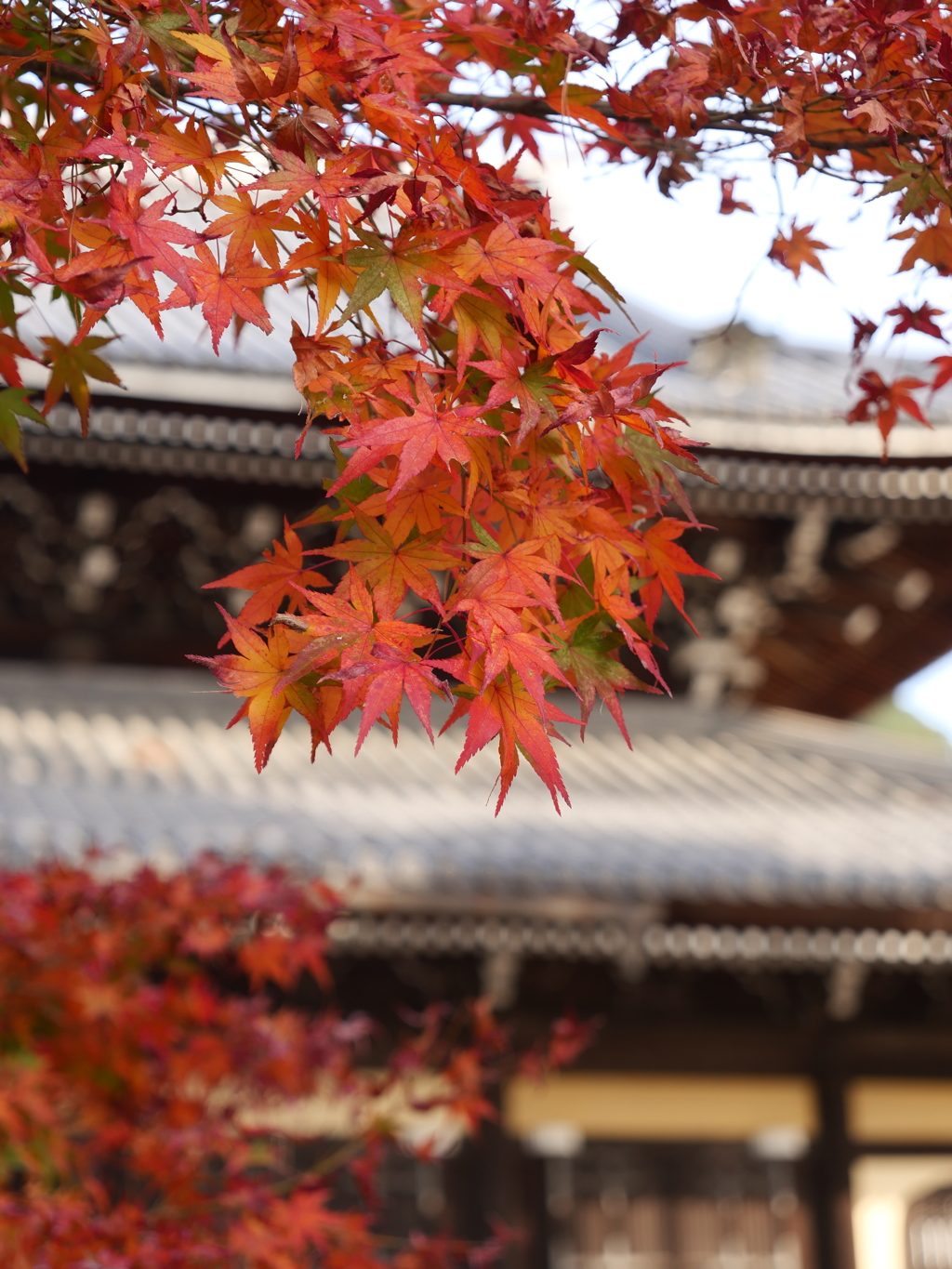 から紅の南禅寺