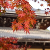 から紅の南禅寺