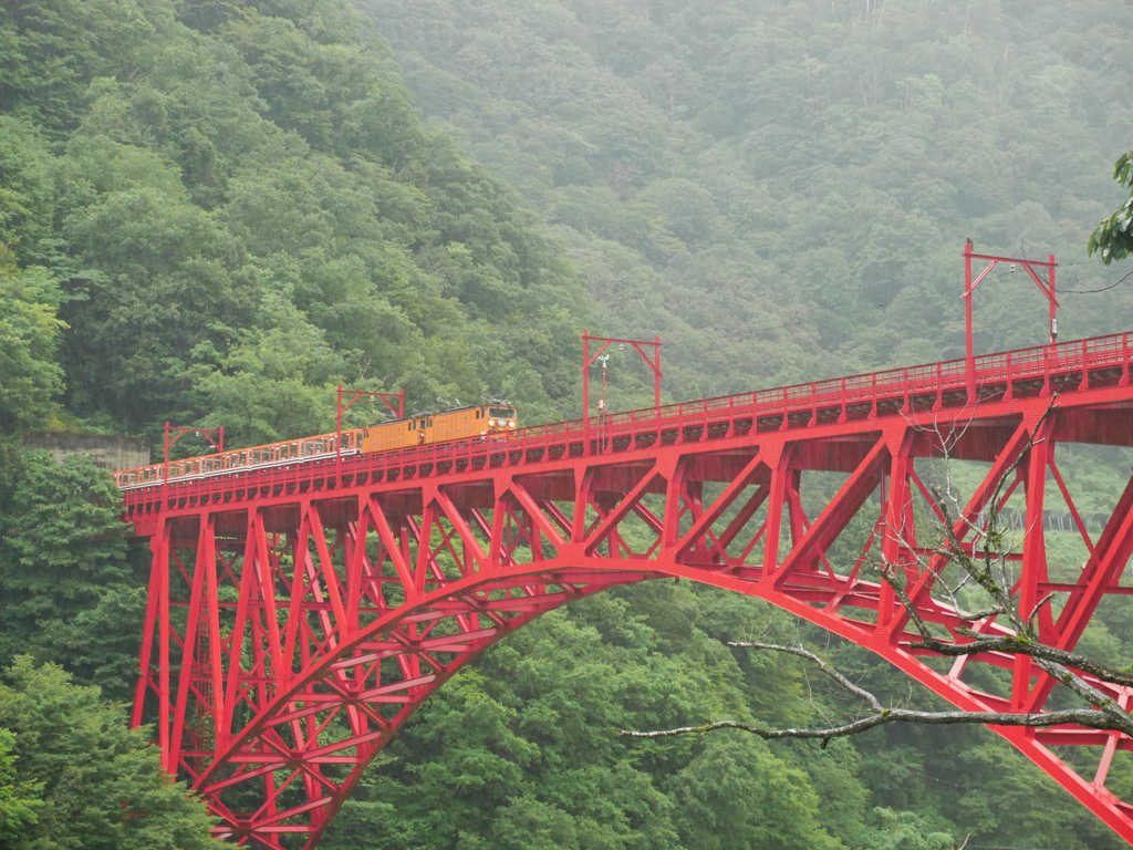 峡谷を走る
