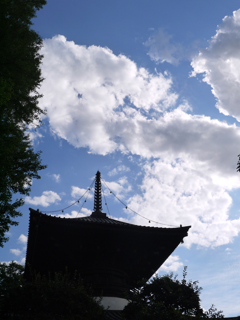 鑁阿寺の夏空