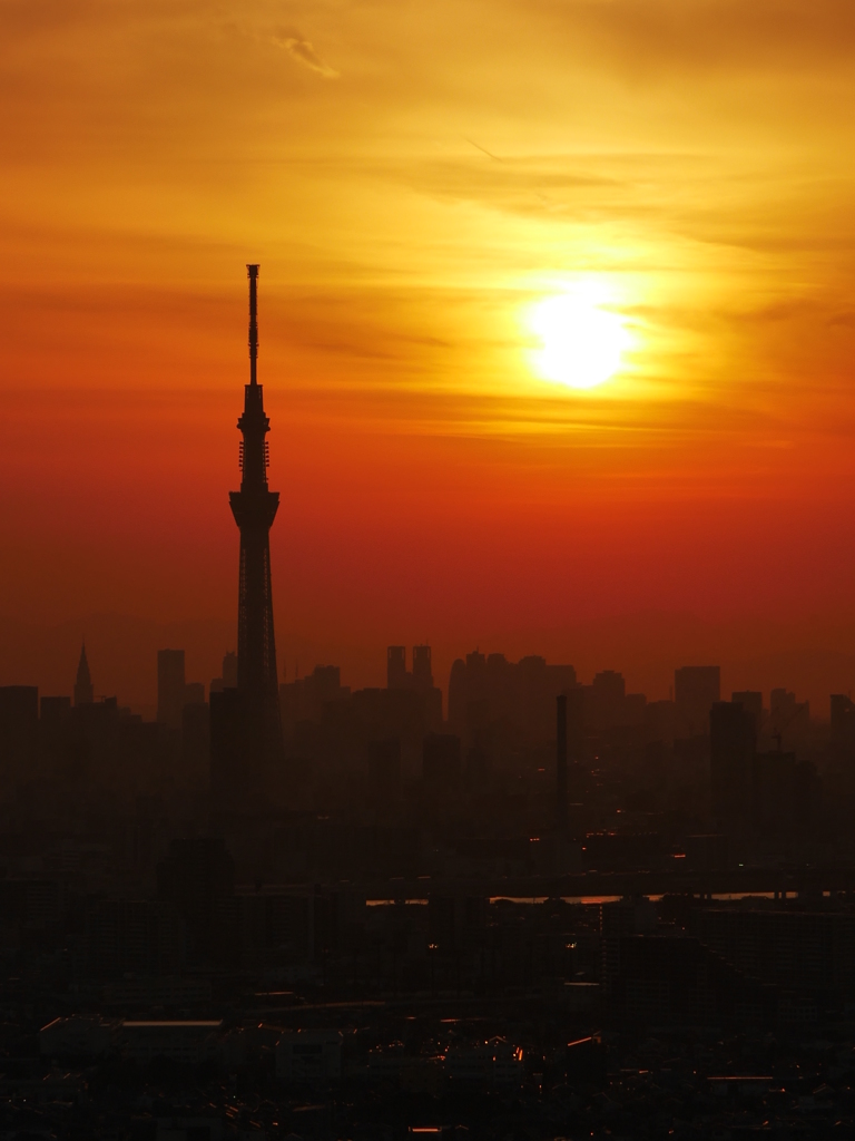 スカイツリー夕景