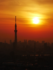 スカイツリー夕景