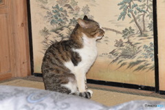 横向く風太～(^^♪。