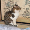 横向く風太～(^^♪。