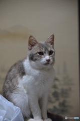 いい顔して～。