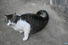 メイちゃん、変な感じ～(^^♪。