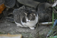 メイちゃん、お外でゲット～(^^♪。