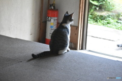 外を見つめる～(^^♪。