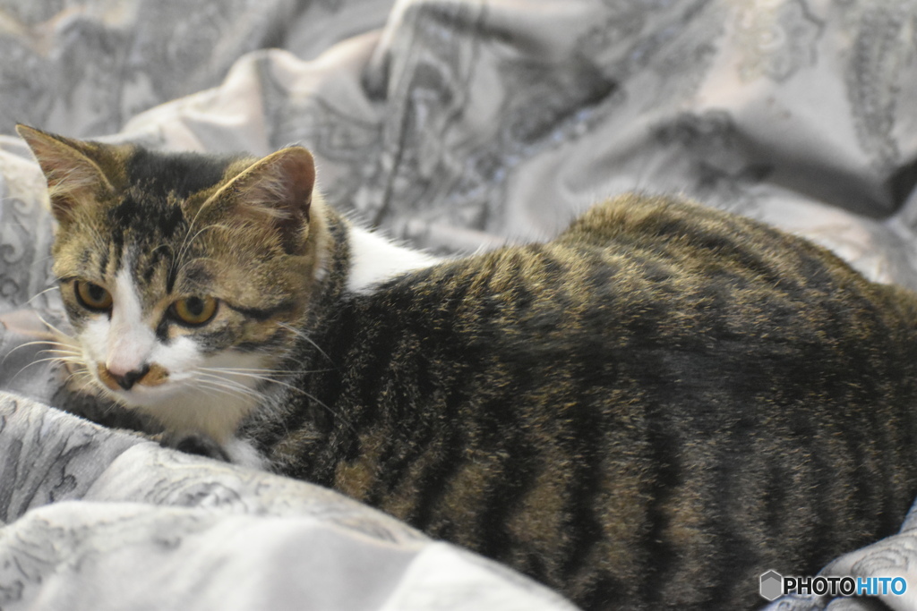 呼んだ～(^^♪。