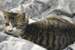 呼んだ～(^^♪。