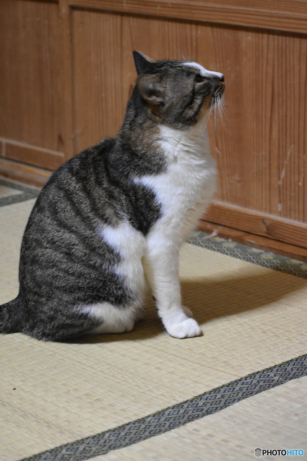 風太の横顔～とても可愛い～(^^♪。