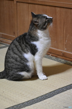 風太の横顔～とても可愛い～(^^♪。