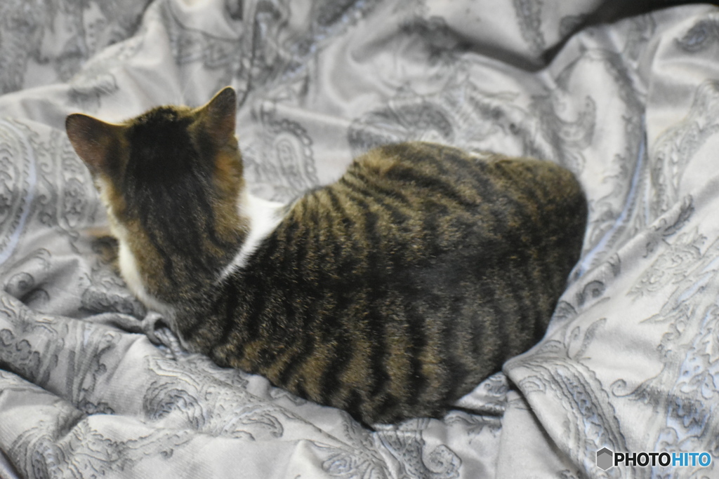 背中で語ってみました～(^^♪。