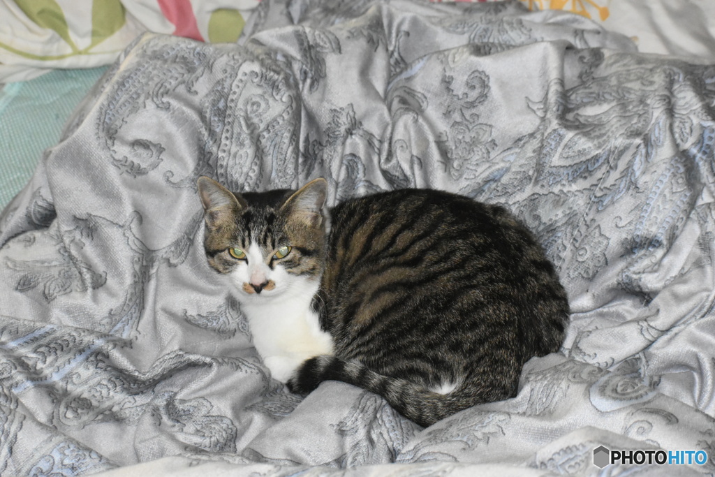 メイです～よろしくお願いします～(^^♪。