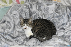 メイです～よろしくお願いします～(^^♪。