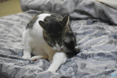 綺麗にしなくちゃ～(^^♪。