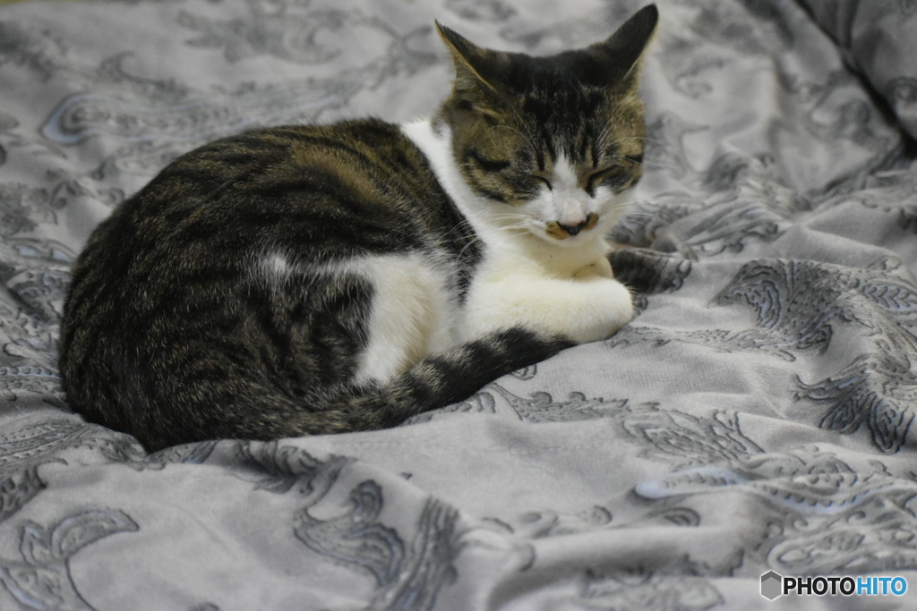 眠いんだ～(^^♪。