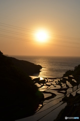 夕日の浜野浦棚田。