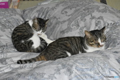 メイと風太、仲良し中ですね～(^^♪。