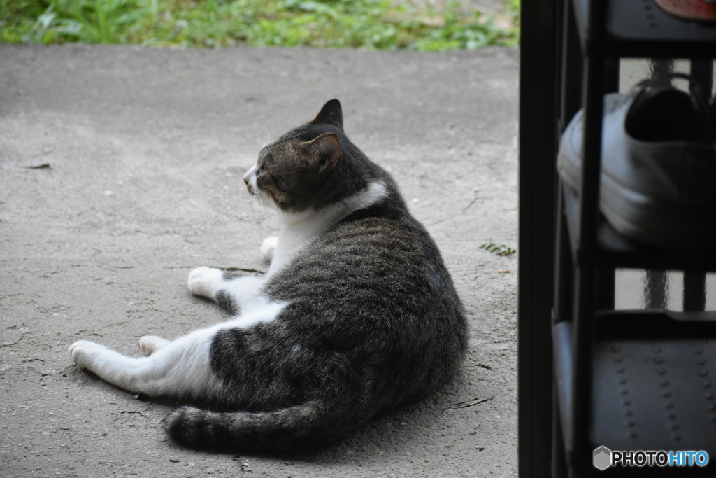 まったり～風太～(^^♪。