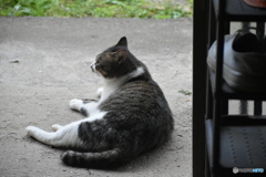 まったり~風太~(^^♪。 まったり~風太~(^^♪。