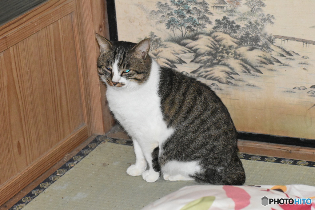 風太、目つきが怖いよ～(^^♪。