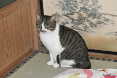 風太、目つきが怖いよ～(^^♪。