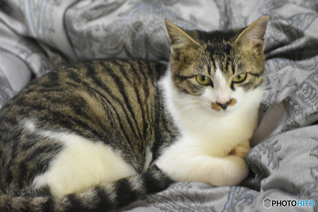 メイちゃん、少し大きくなりました～(^^♪。