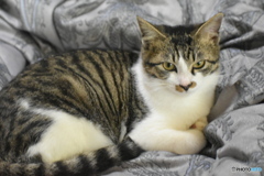 メイちゃん、少し大きくなりました～(^^♪。