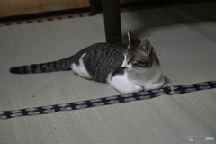 何か、見つけた～(^^♪。