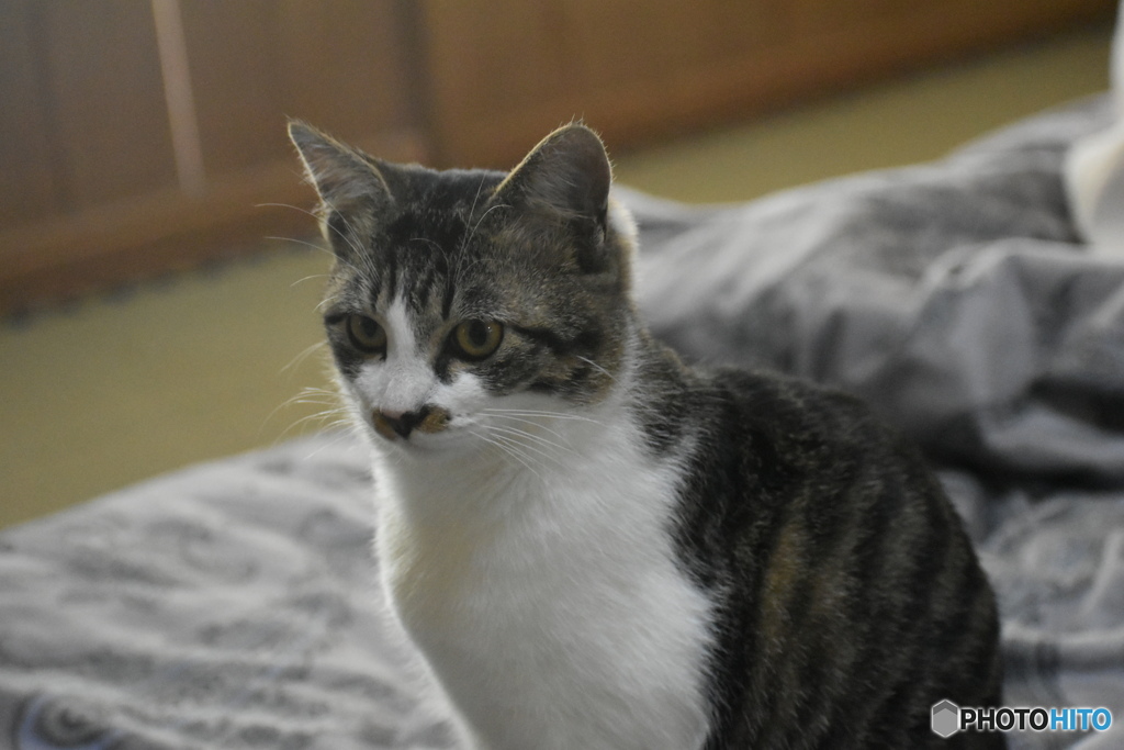 見つめる先には～(^^♪。