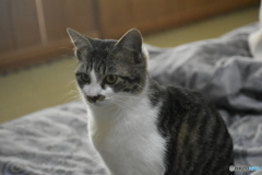 見つめる先には～(^^♪。