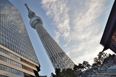 東京スカイツリー