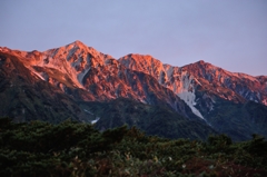 朝焼けの白馬三山