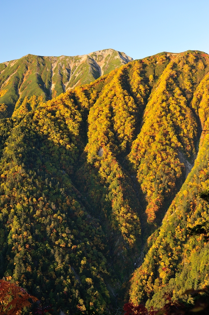 峡谷の夜明け