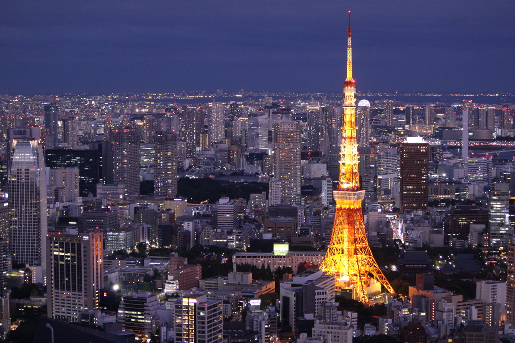 東京タワー