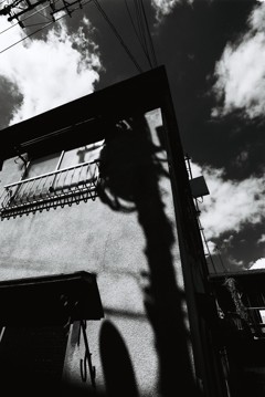 tribute to Eugène Atget