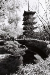 上野　五重塔