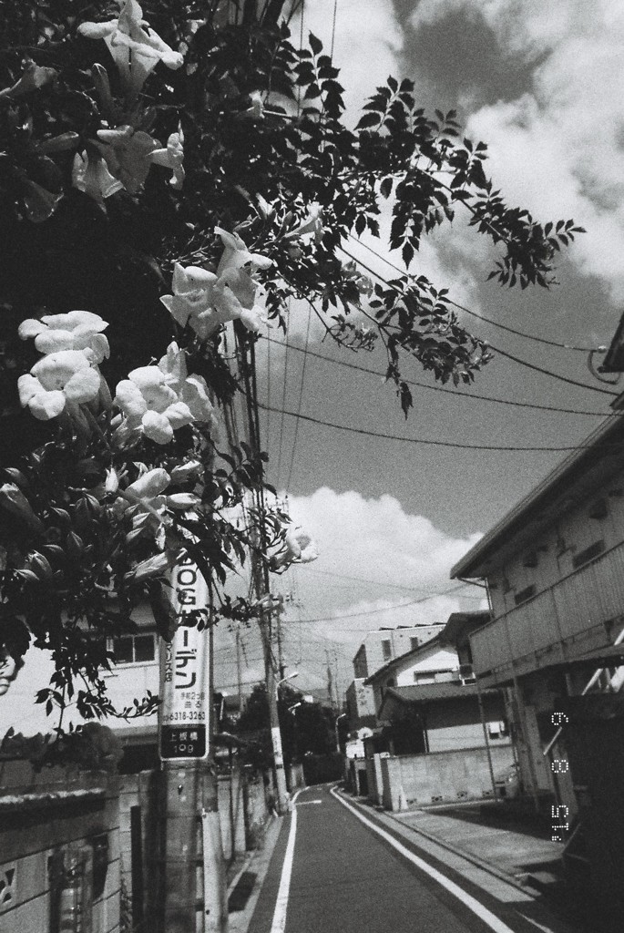 Summer 2015
